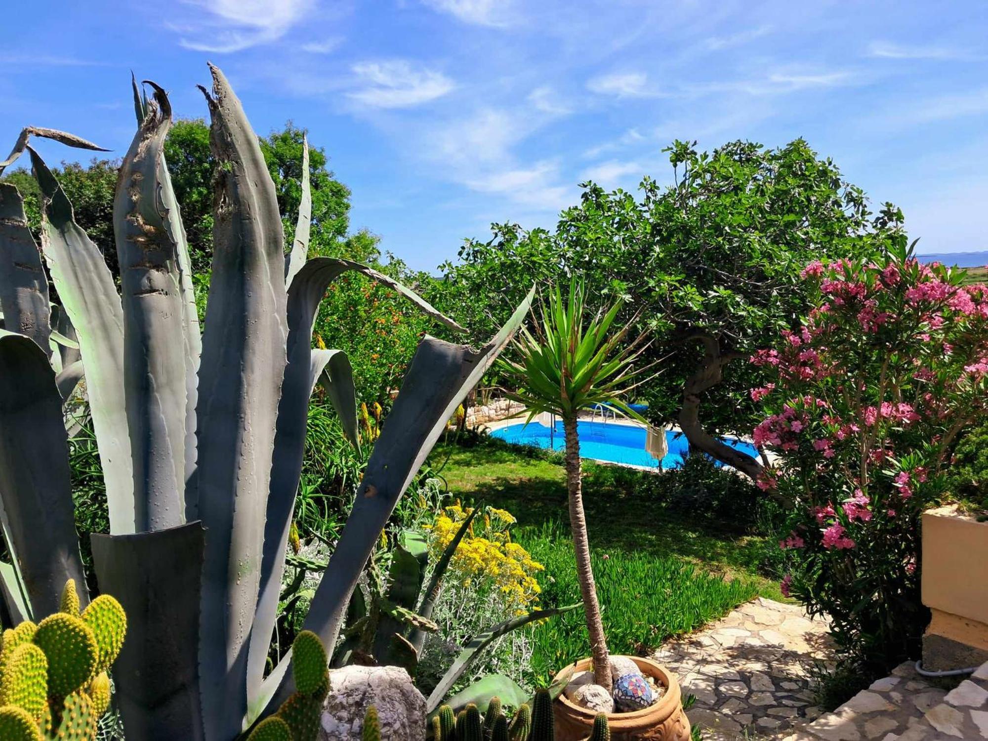 Villa Cesarica Novalja Exterior foto